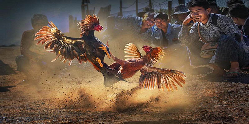 bet vnd xổ số bữa nay