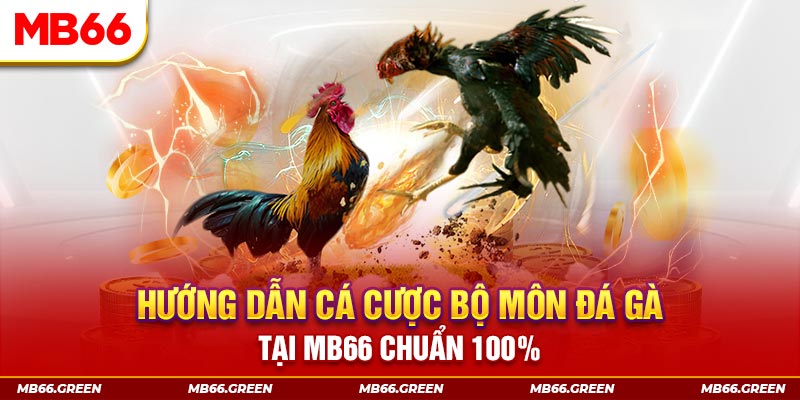 bet vnd slot là gi