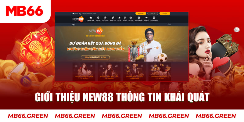 bet vnd Tung Đồng Xu