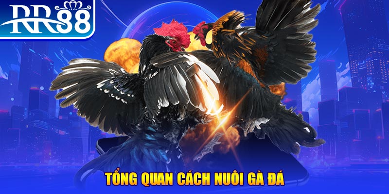 bet vnd game nổ hũ rút tiền mặt là gì