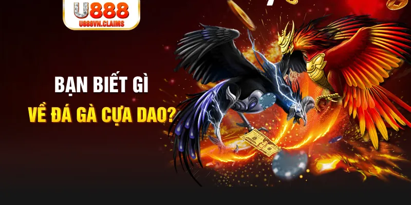 bet vnd SW Xổ Số