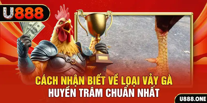 bet vnd đăng nhập nổ hũ số 1