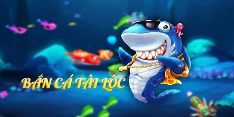bet vnd DB Trực Tuyến