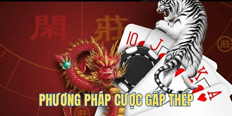 bet vnd da ga 88