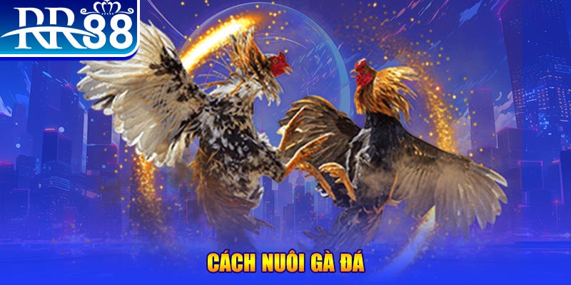 bet vnd đăng nhập phỏm đổi thưởng