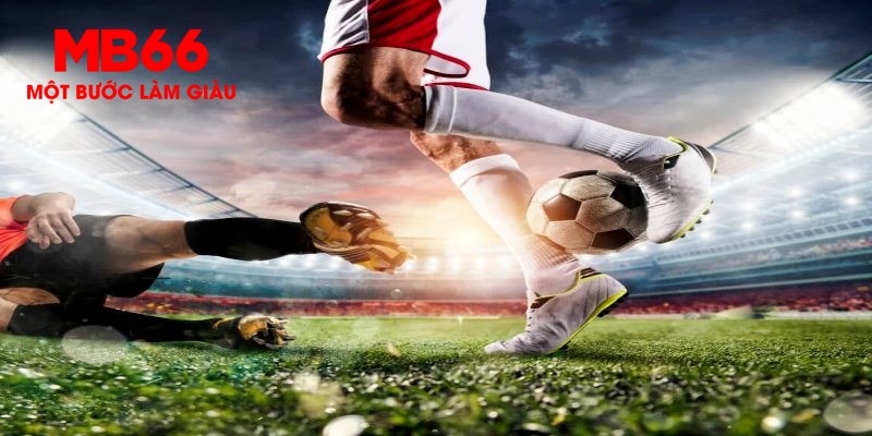 bet vnd trực tiếp đá gà thomo