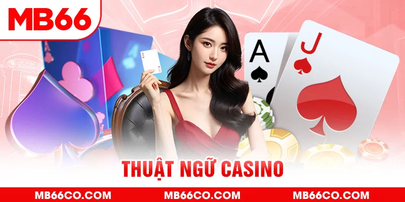 bet vnd gà chọi c1 mới nhất