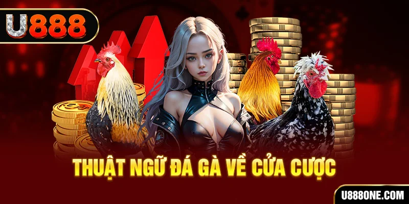bet vnd hơn cả bạn bè