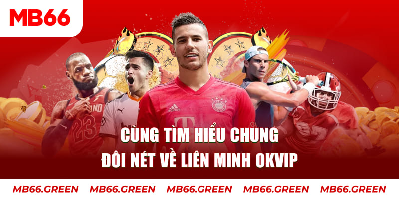 bet vnd đá gà trực tiếp bình luận viên