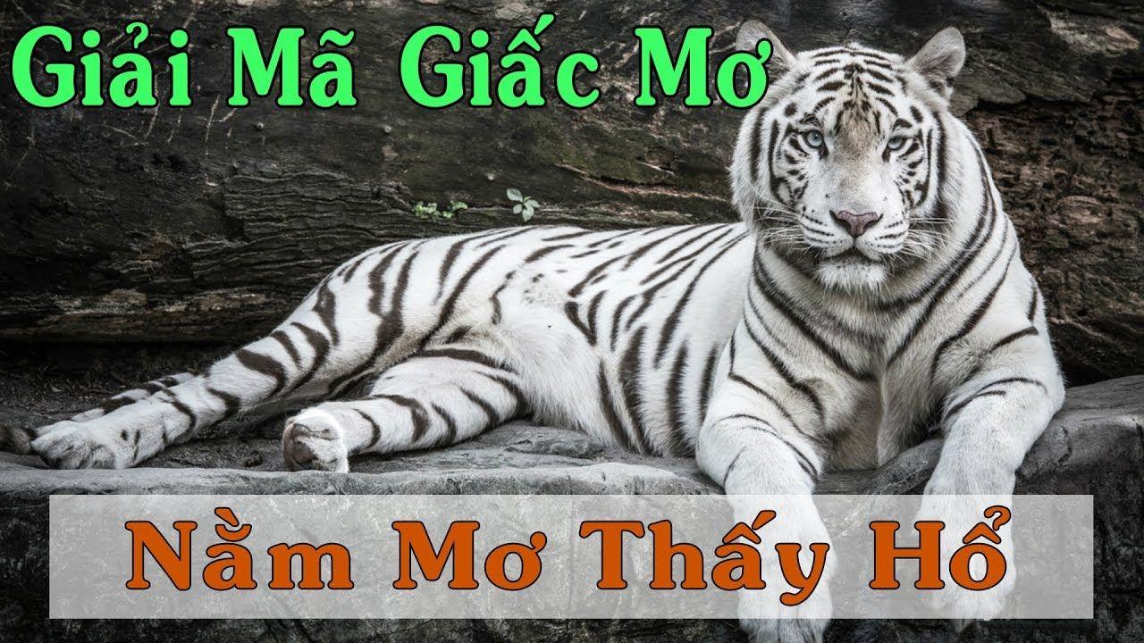bet vnd nổ hũ là game gì