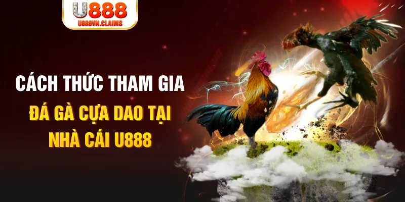bet vnd Cỡ bảy