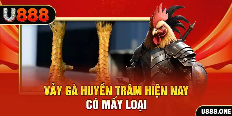 bet vnd casino online là gì