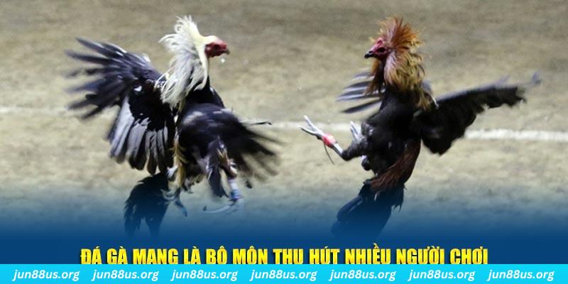 bet vnd nổ hủ nghĩa là gì