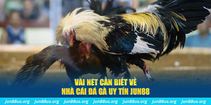 bet vnd đăng nhập phỏm khuyến mãi