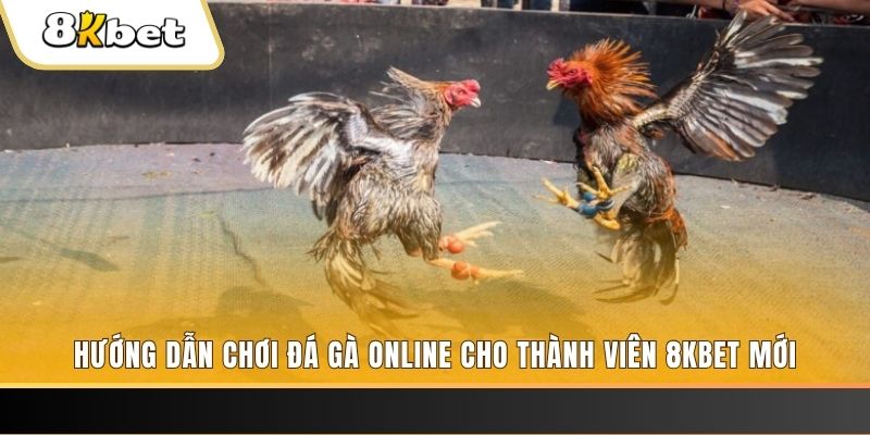 bet vnd JILI Game Bài 3d