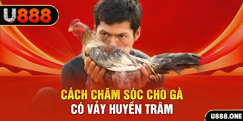 bet vnd bắn cá xèng 3