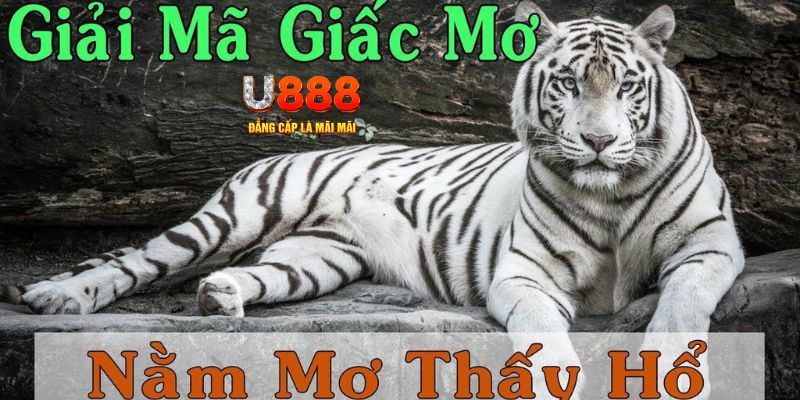 bet vnd xổ số miền bắc xổ số miền bắc