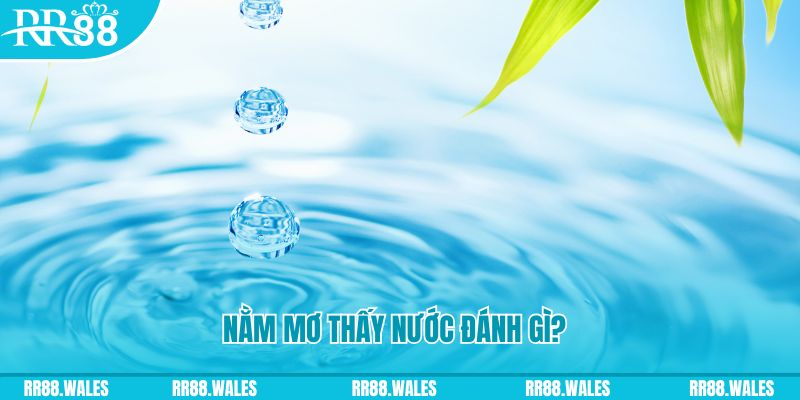 bet vnd TCG Xổ Số