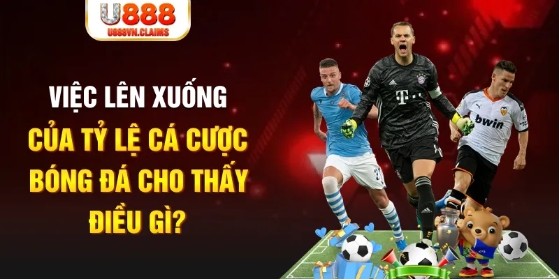bet vnd xổ số tiền giang