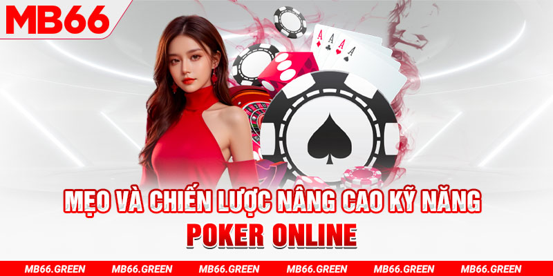 bet vnd chổi lông gà