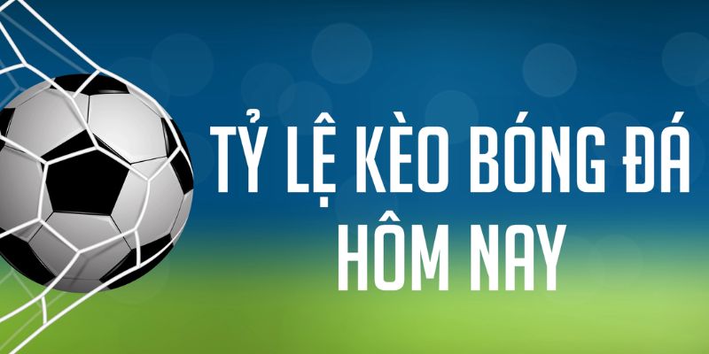 bet vnd Bài Poker Joker