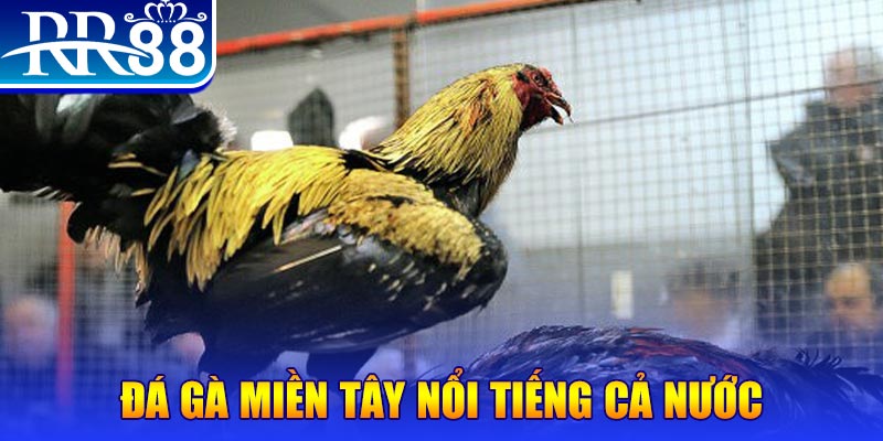 bet vnd xổ số đại phát