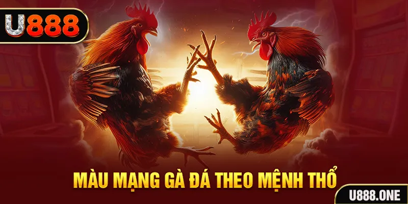 bet vnd đăng nhập sòng bạc hàng đầu