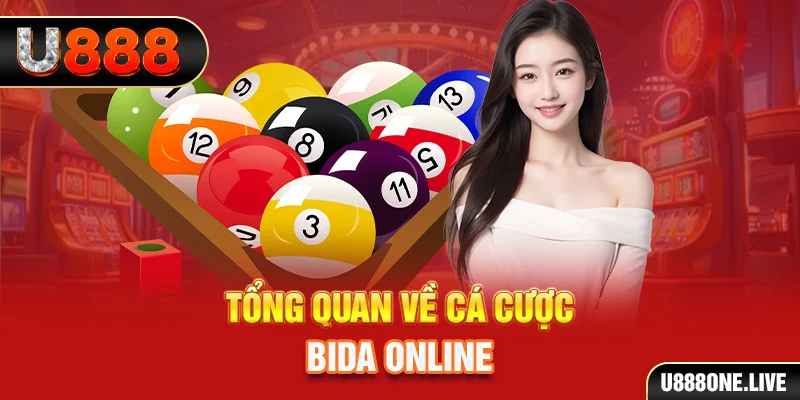 bet vnd kết quả xổ số kiến thiết miền bắc
