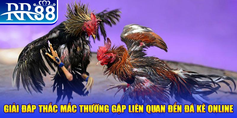 bet vnd how to win jackpots on slot machines