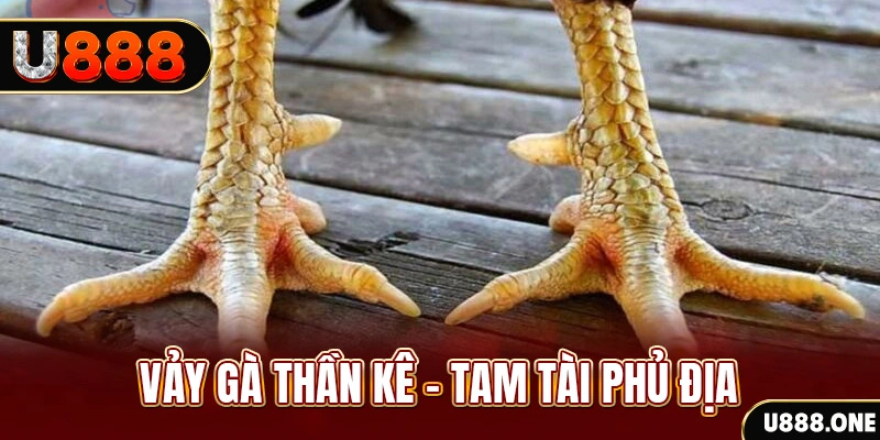 bet vnd xổ số miền trung thứ hai hàng tuần