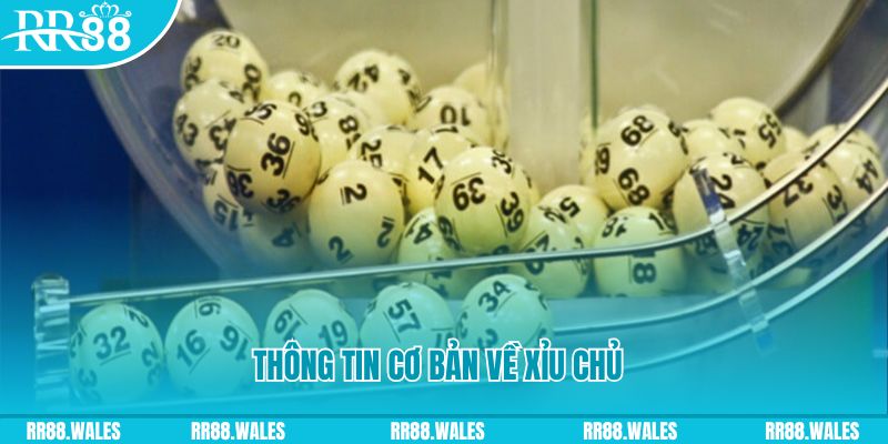 bet vnd how to win at slot machines