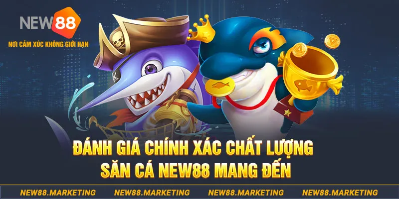 bet vnd đăng nhập mậu binh mới nhất