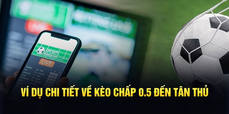 bet vnd RTG Game Bài 3d