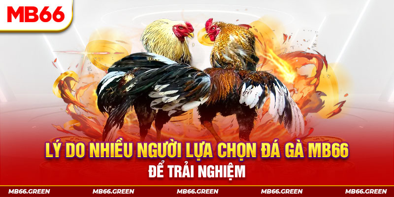 bet vnd đăng nhập liêng trực tiếp