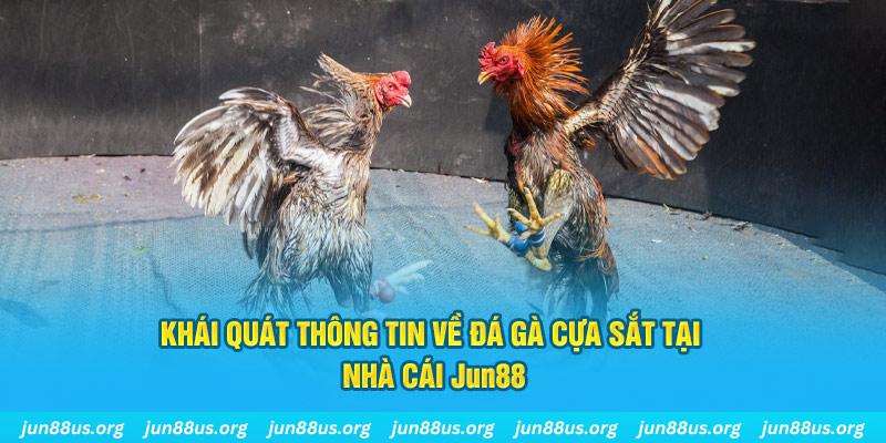 bet vnd xổ số miền bắc thứ bảy hàng tuần