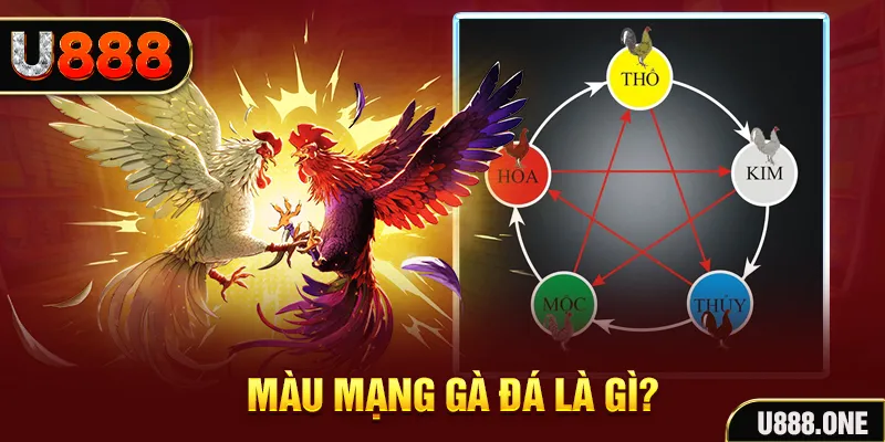 bet vnd xổ số miền trung thứ tư hàng tuần