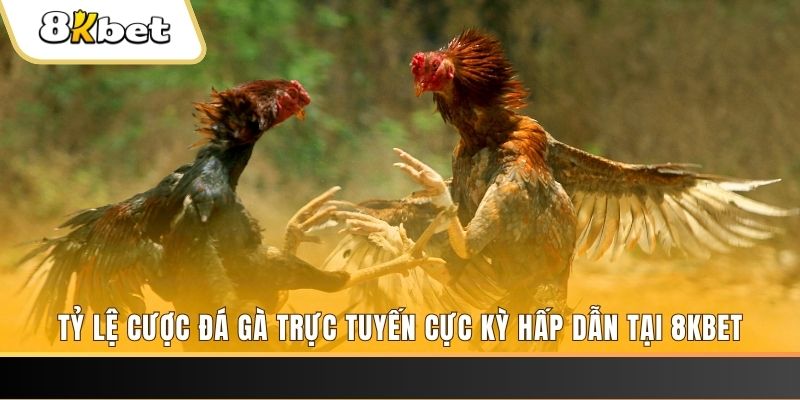 bet vnd đăng nhập nổ hũ trực tuyến