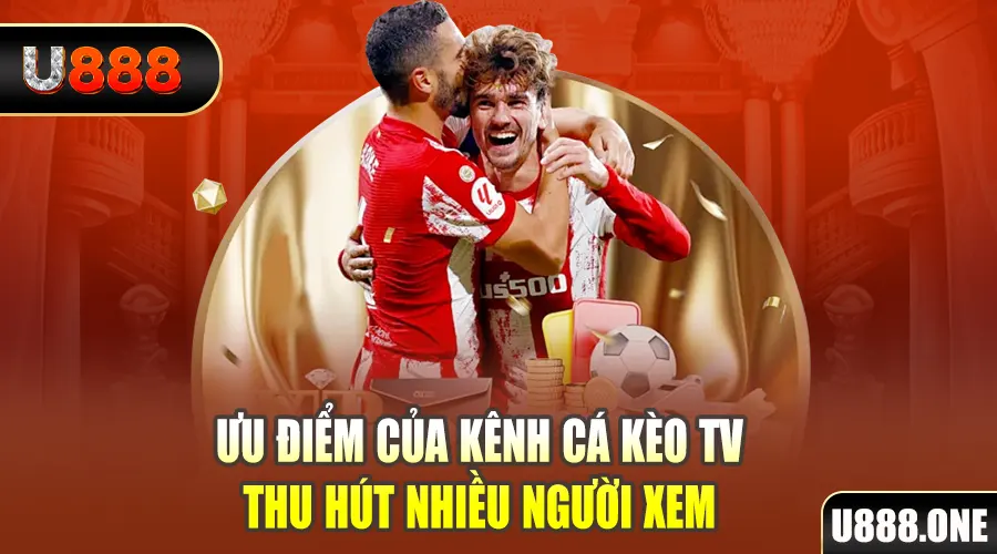 bet vnd gà chọi cu cần