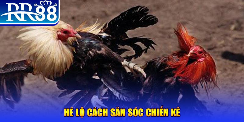 bet vnd xổ số miền trung thứ tư