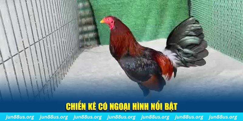bet vnd game bắn cá