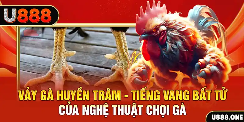bet vnd Cuộc gọi đã bị ngắt