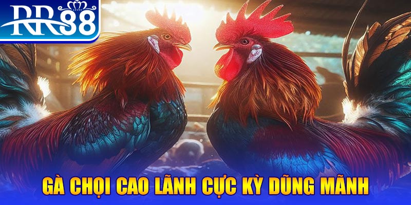 bet vnd HB Điện Tử