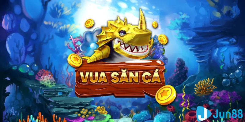 bet vnd casino hồ tràm có cho người việt vào không