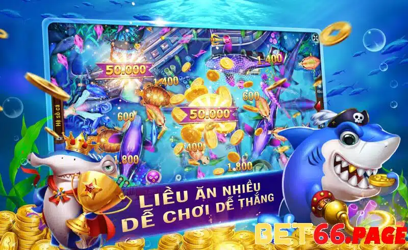 bet vnd 1 slot là gì