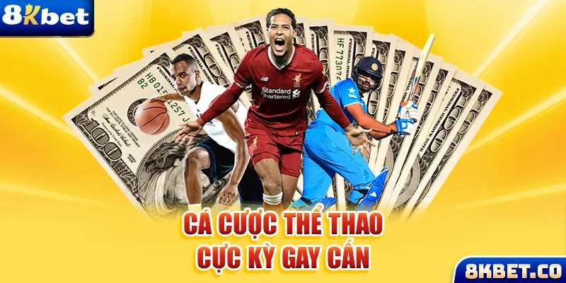 bet vnd xem đá gà trực tiếp